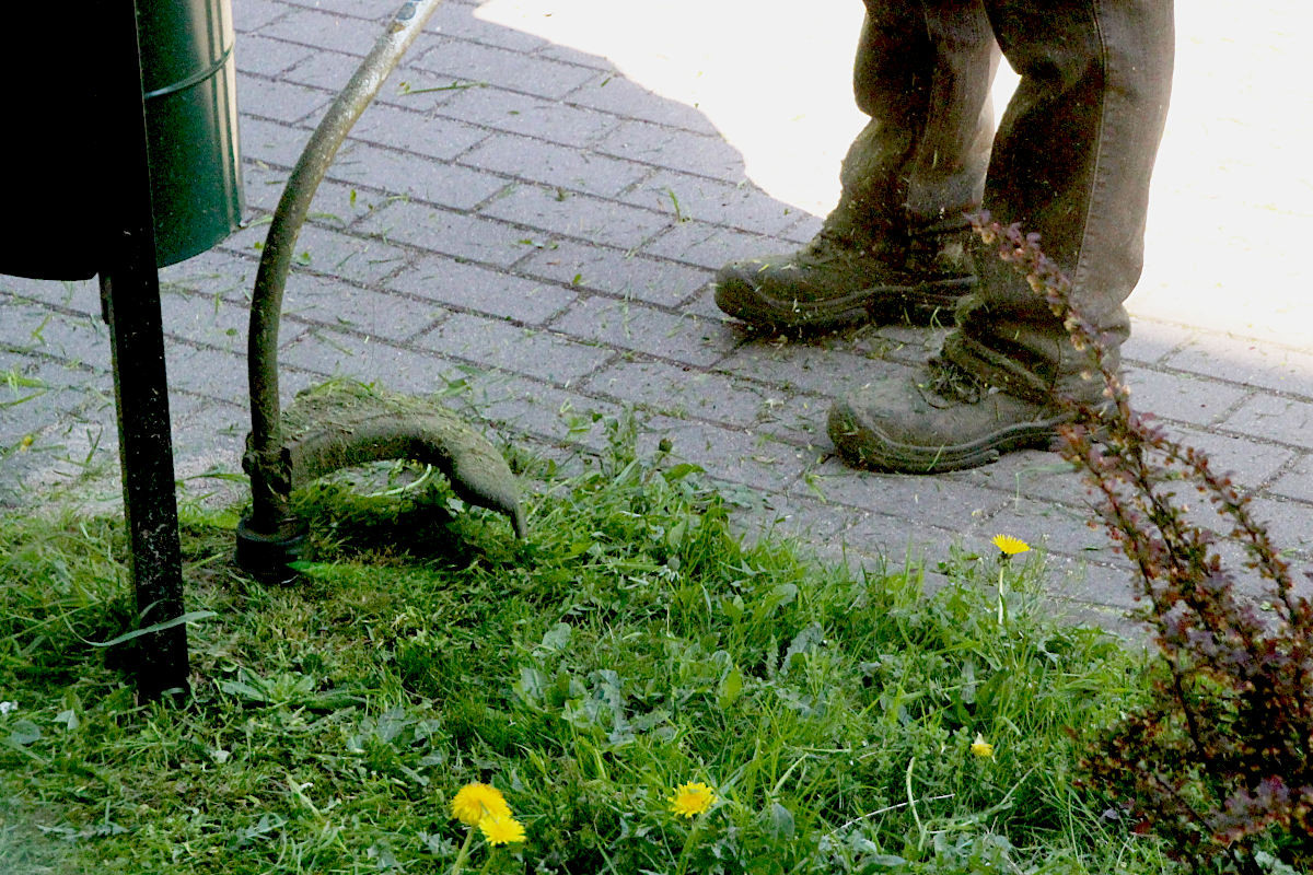 grass mowing lawn