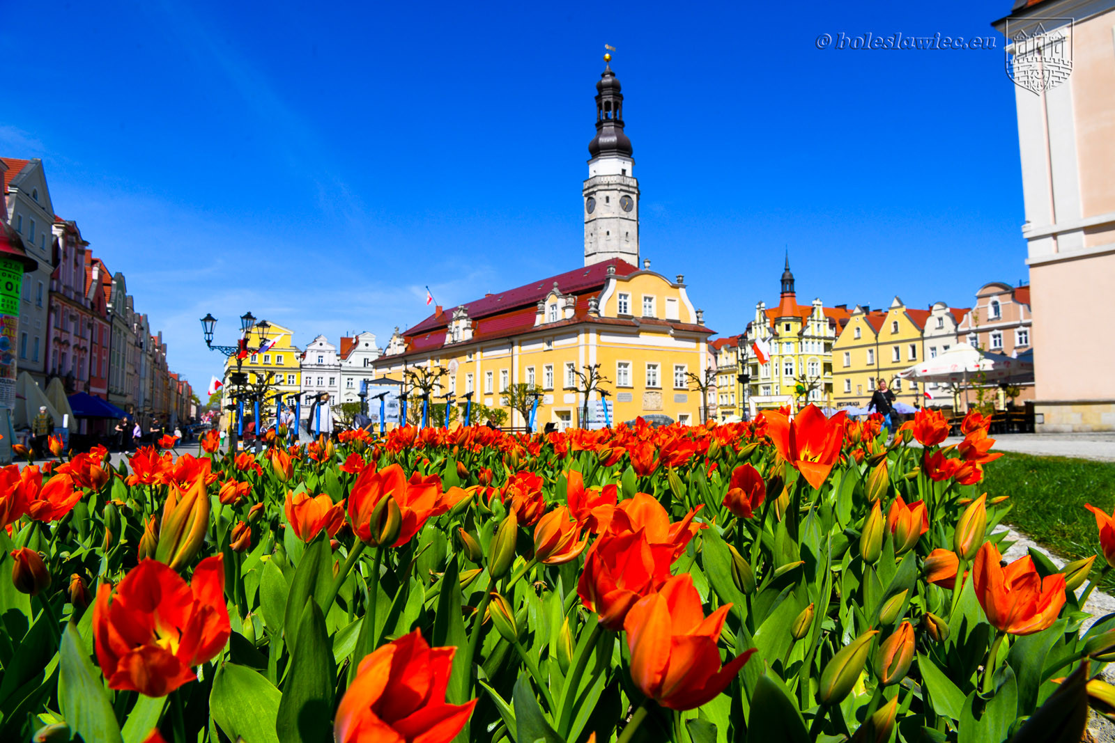 wiosna rynek