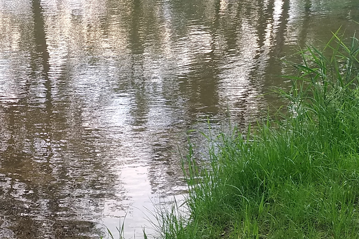 rzeka brzeg
