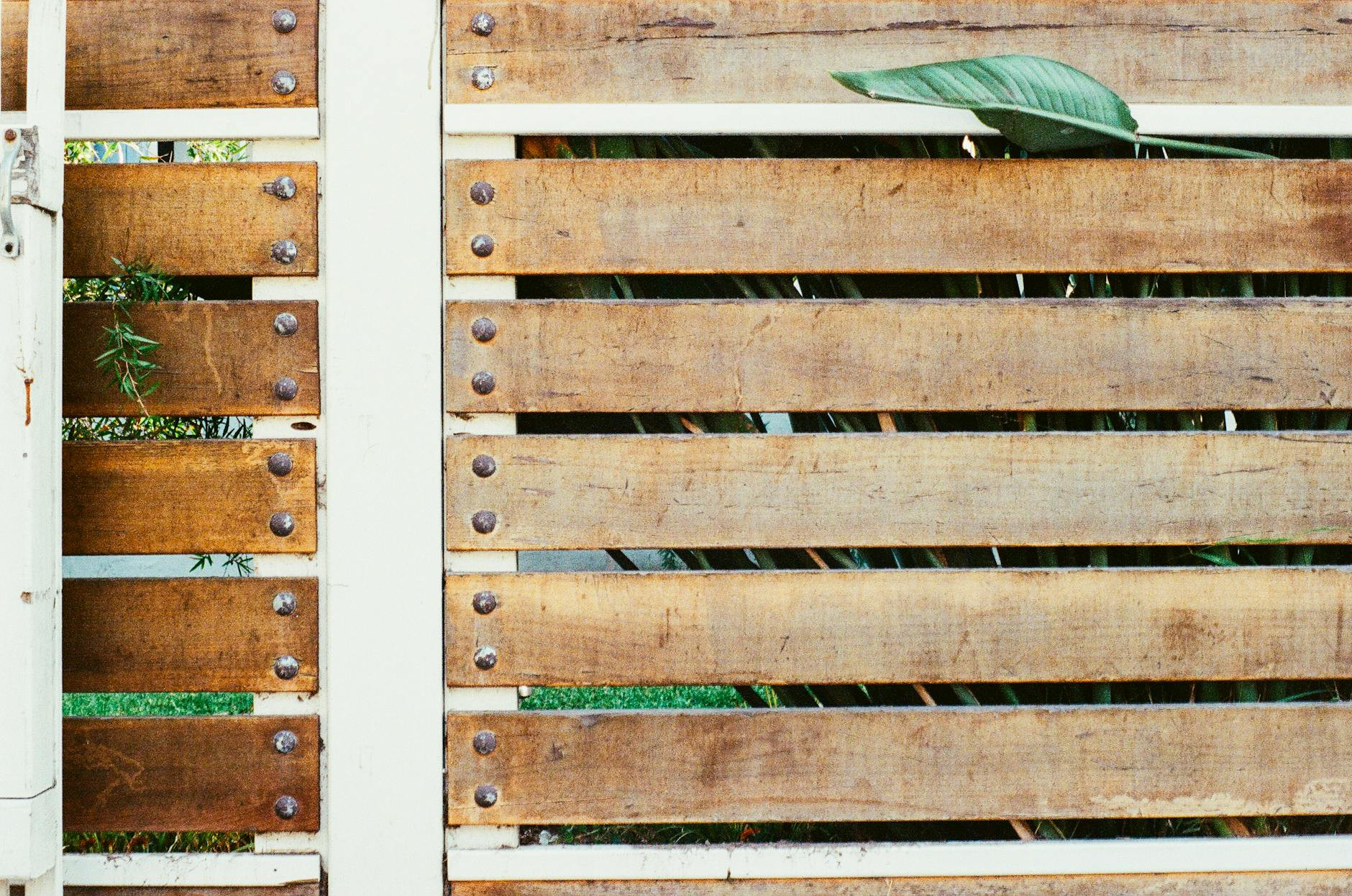 fence panel