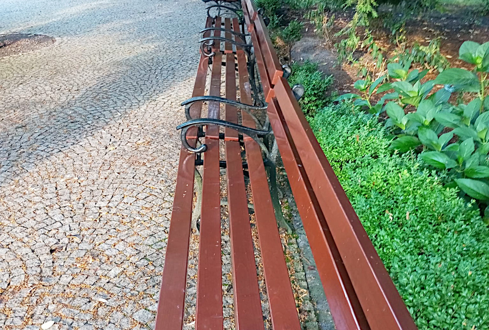 ławka staw park