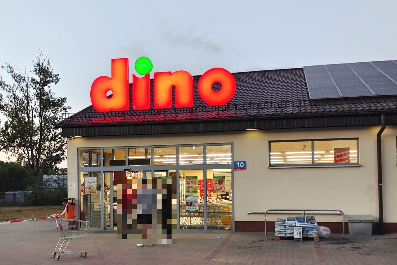 dino