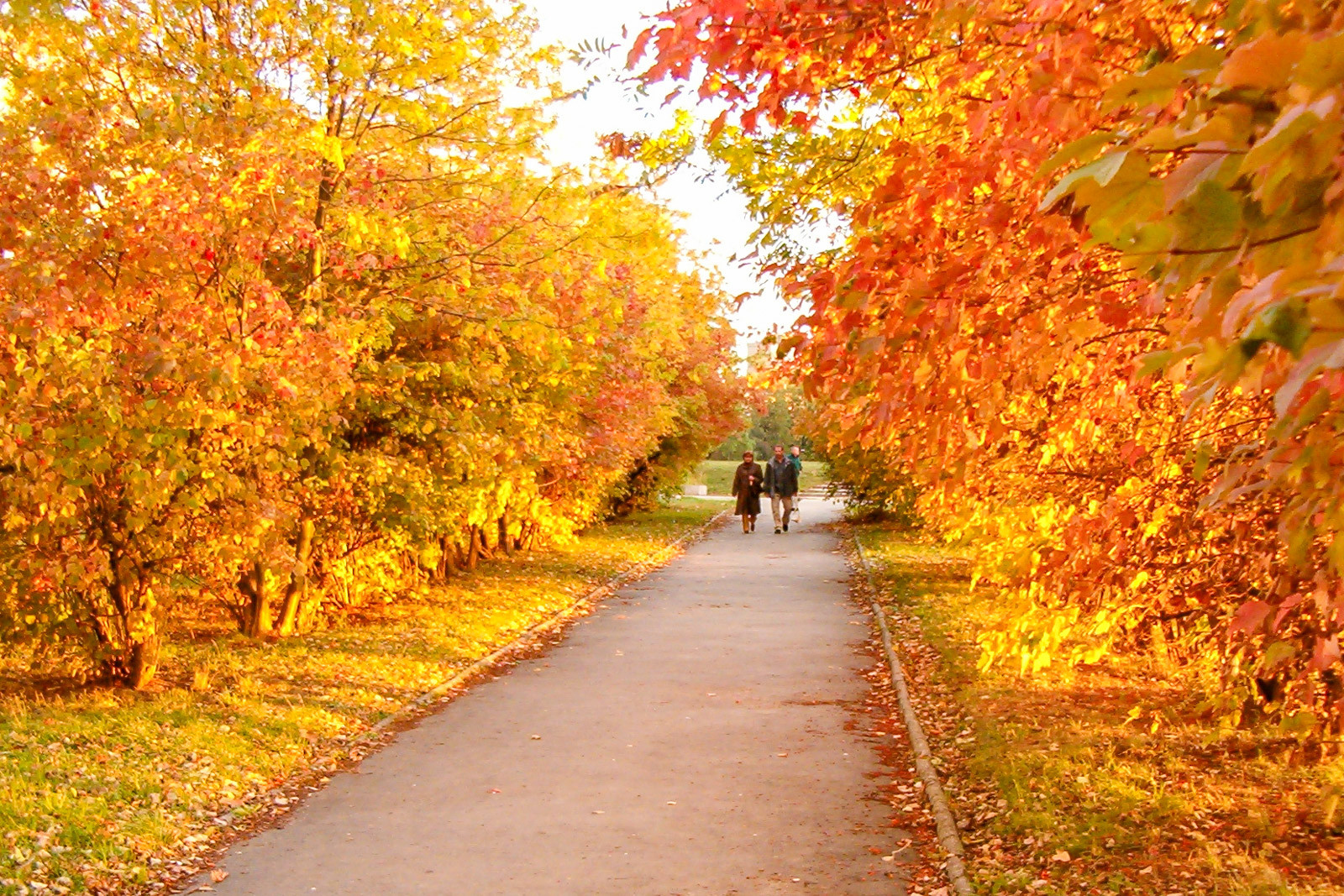 jesień