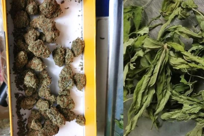marihuana