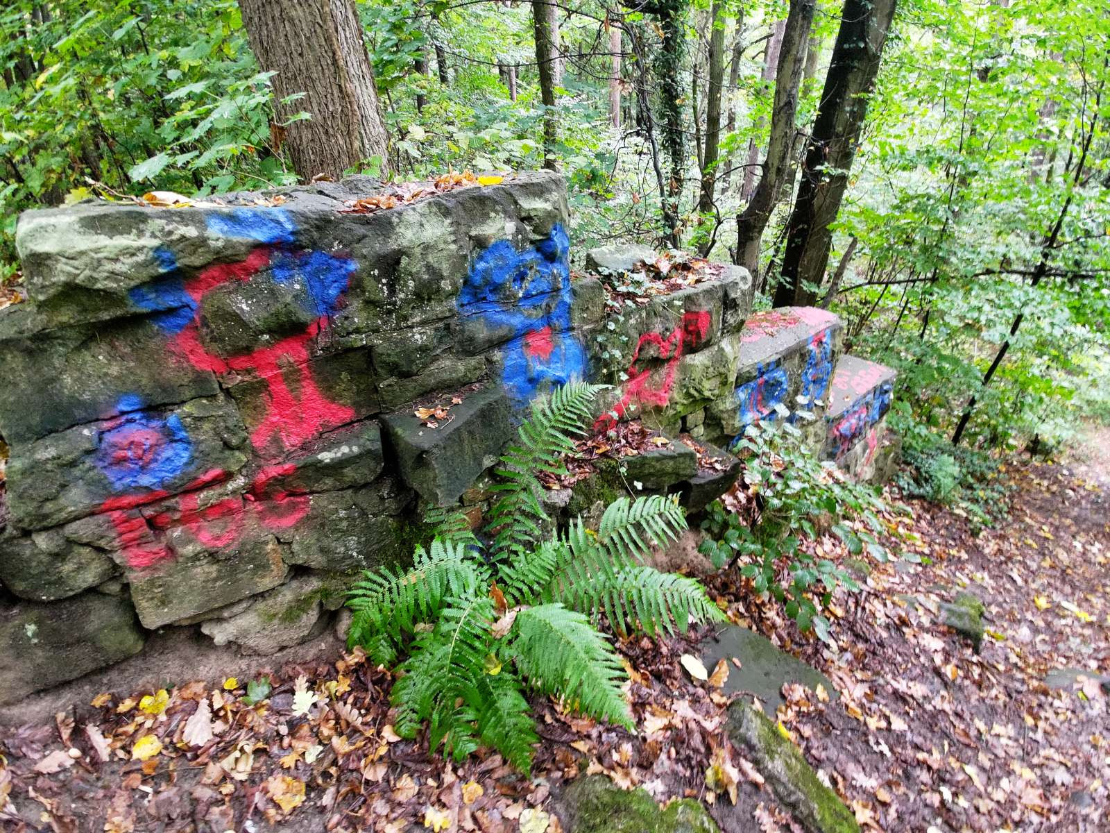 schody zabytek wandalizm jeleniogórska