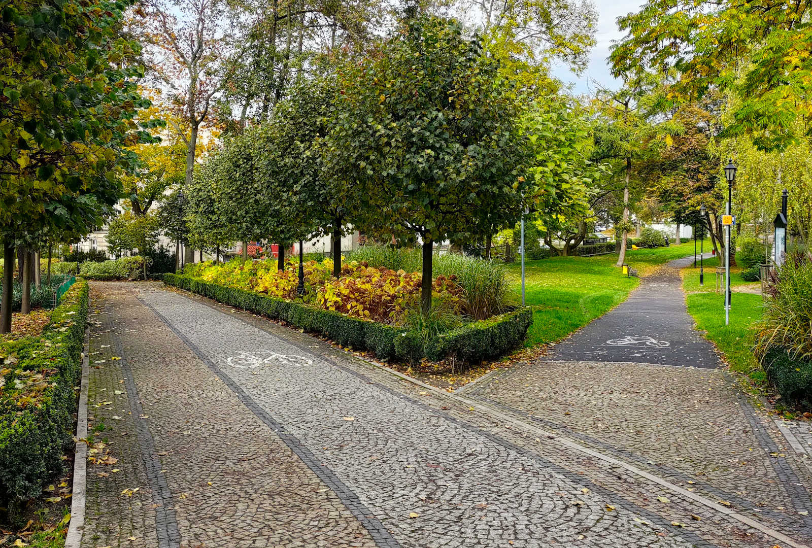 planty zieleń park
