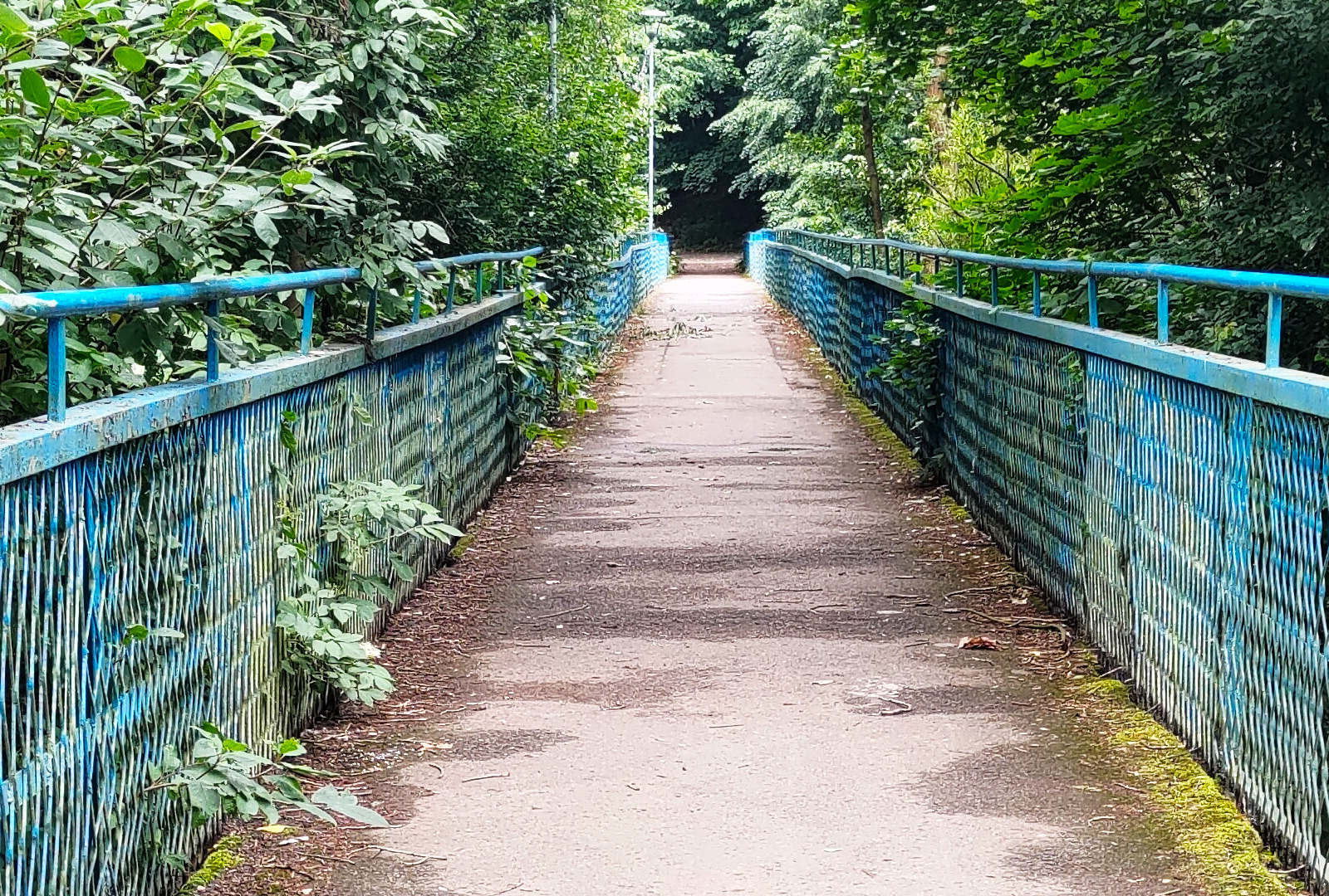 Bóbr footbridge