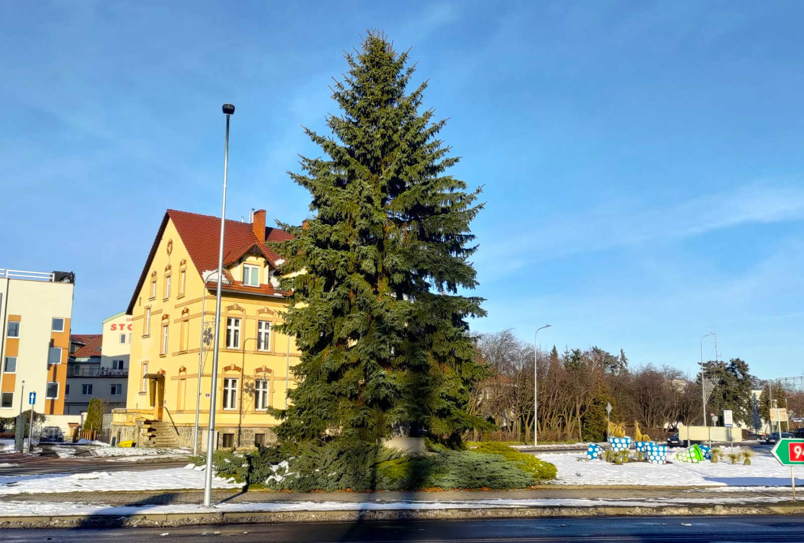 choinka zgorzelecka