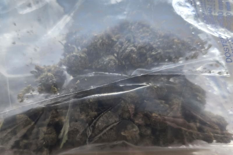 marihuana