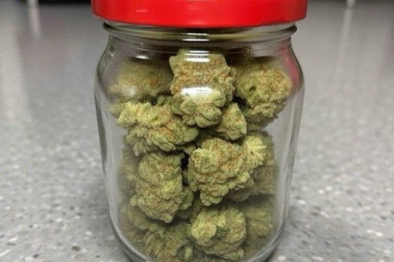 słoik marihuana