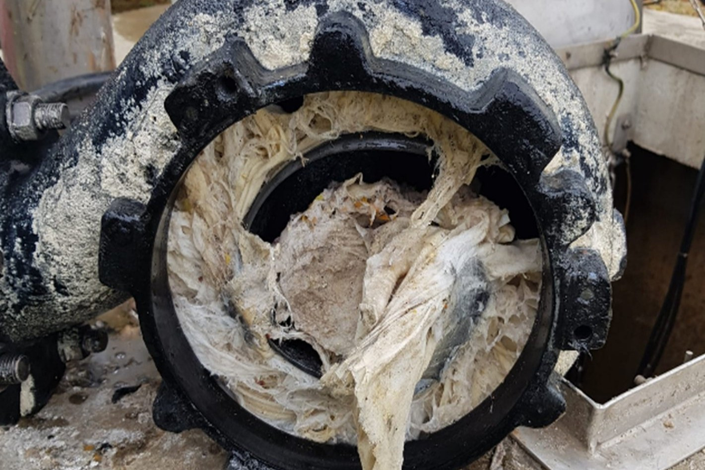impeller