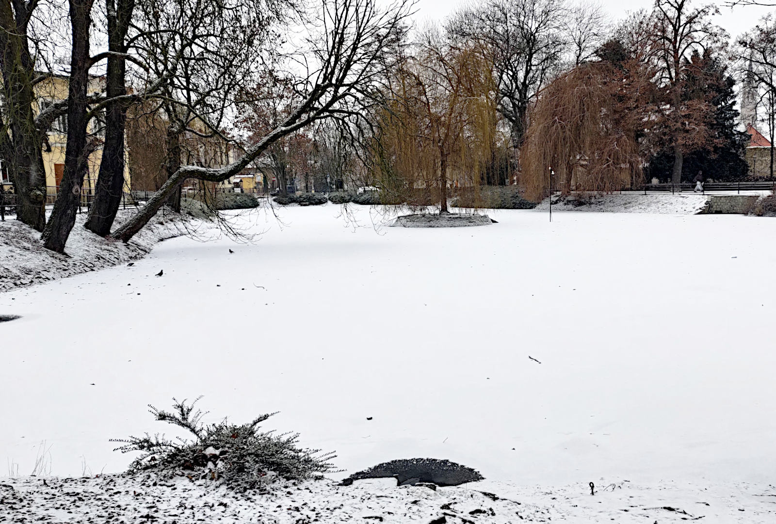 staw miejski zima lód śnieg