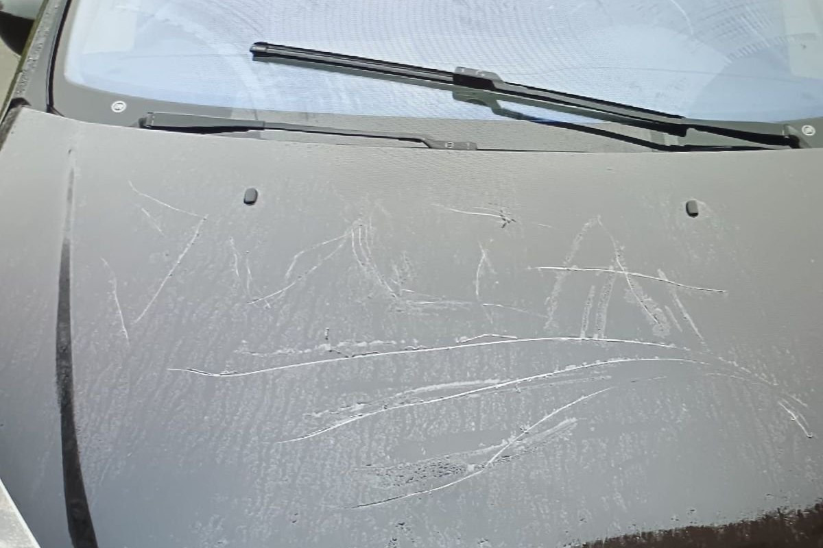 auto