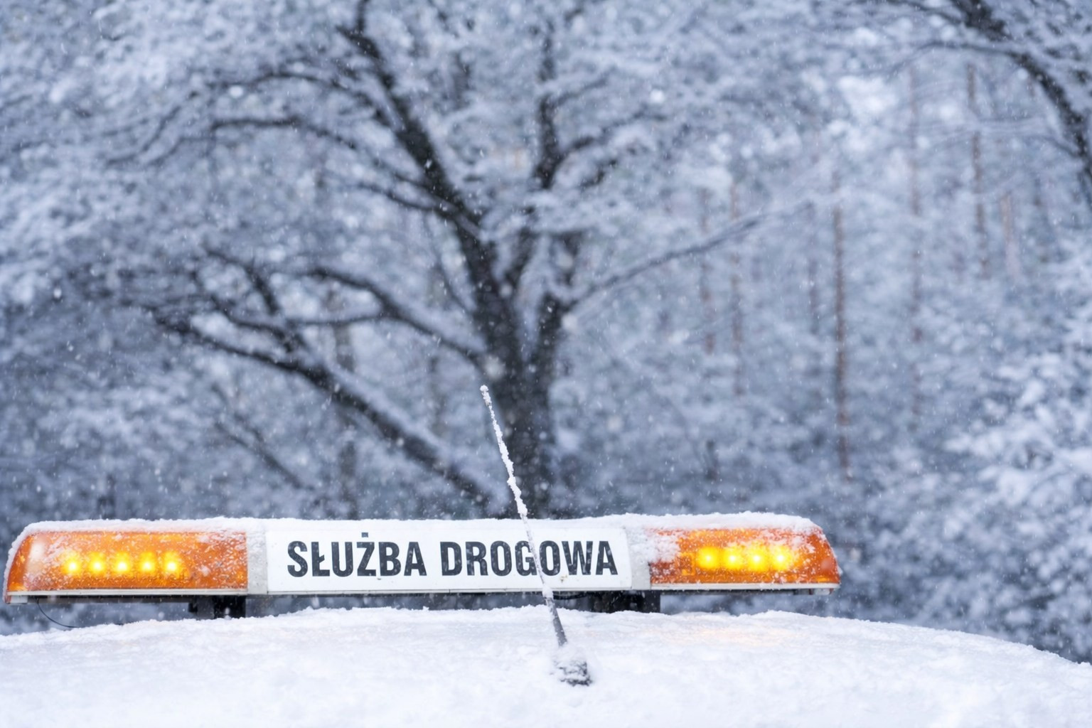 służba drogowa