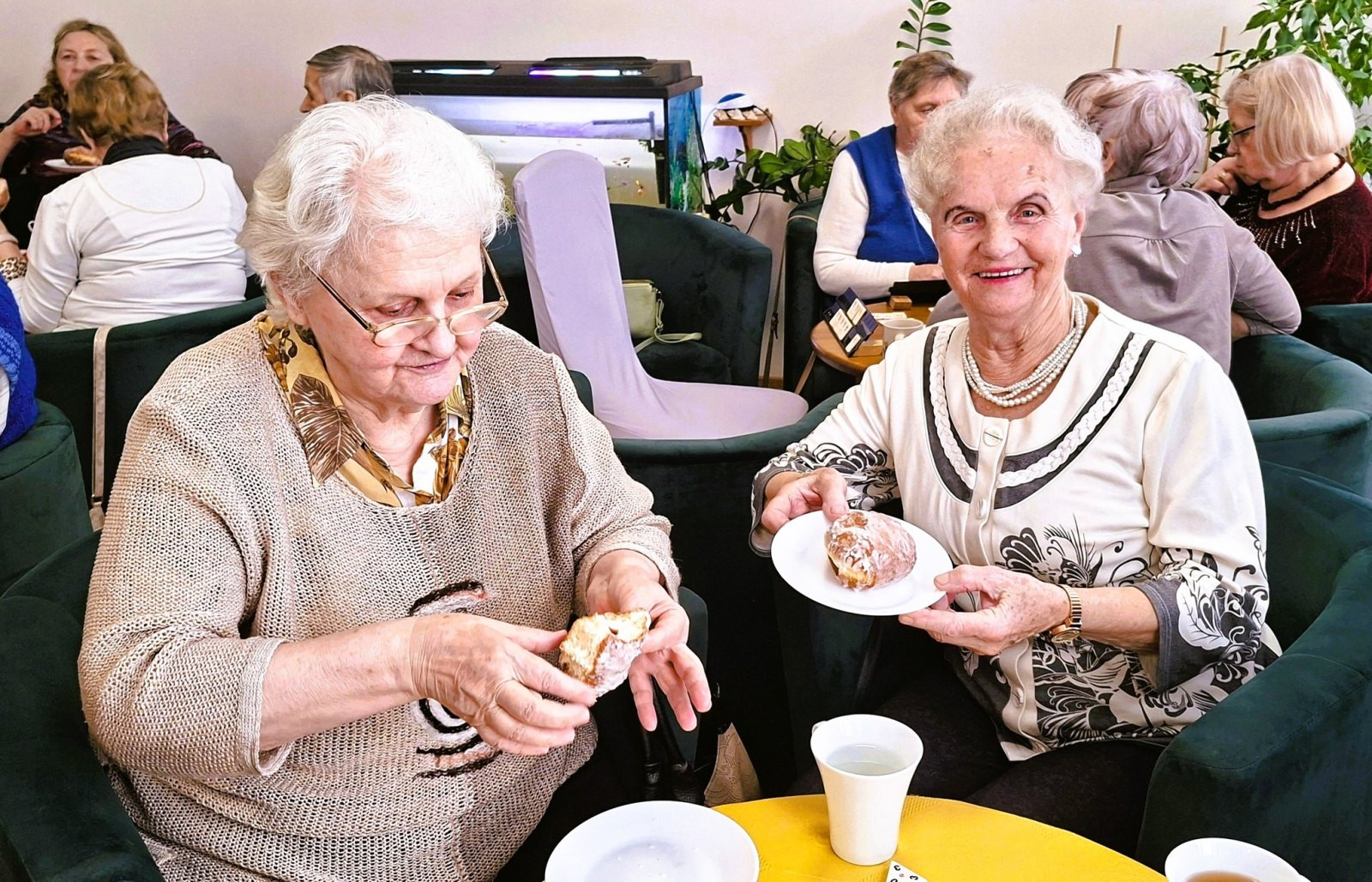 seniorka pączek tłusty czwartek