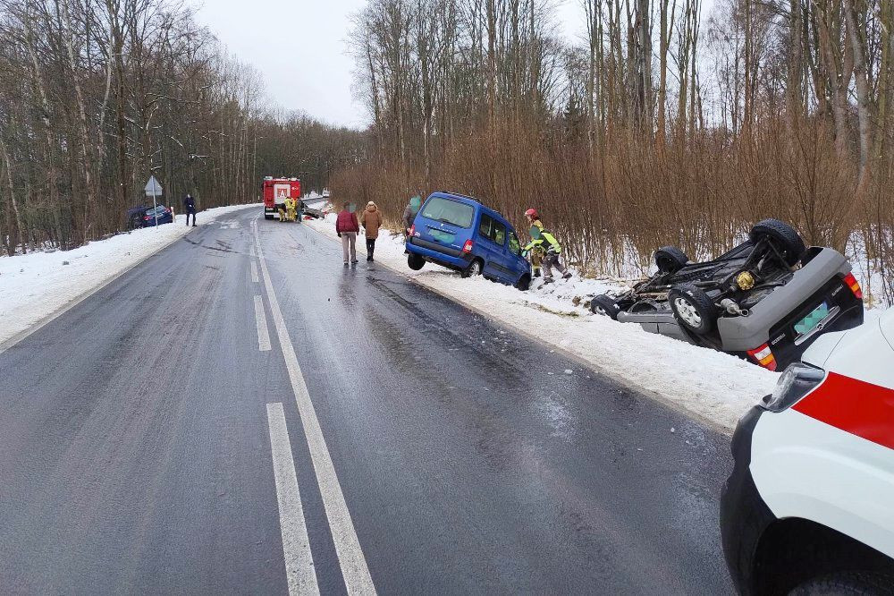 zderzenie lwówek śląski
