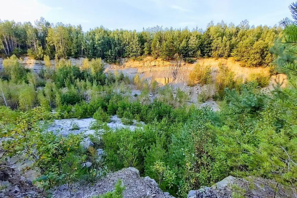 Rakowiczki