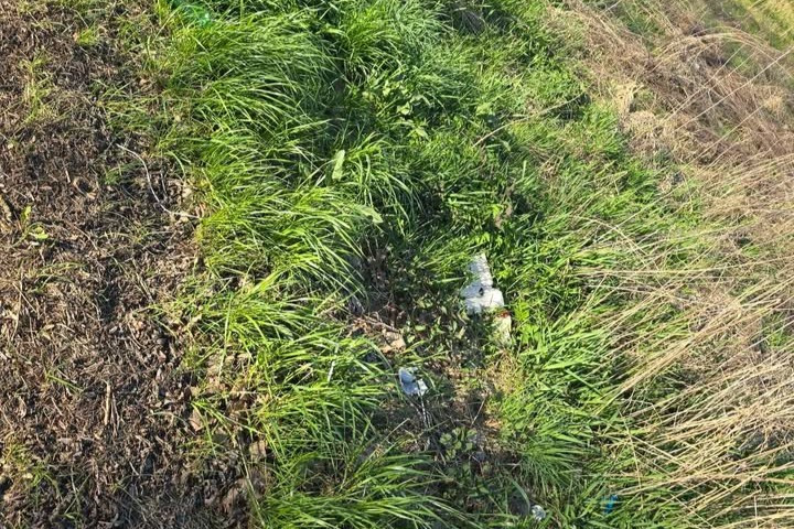 bottle