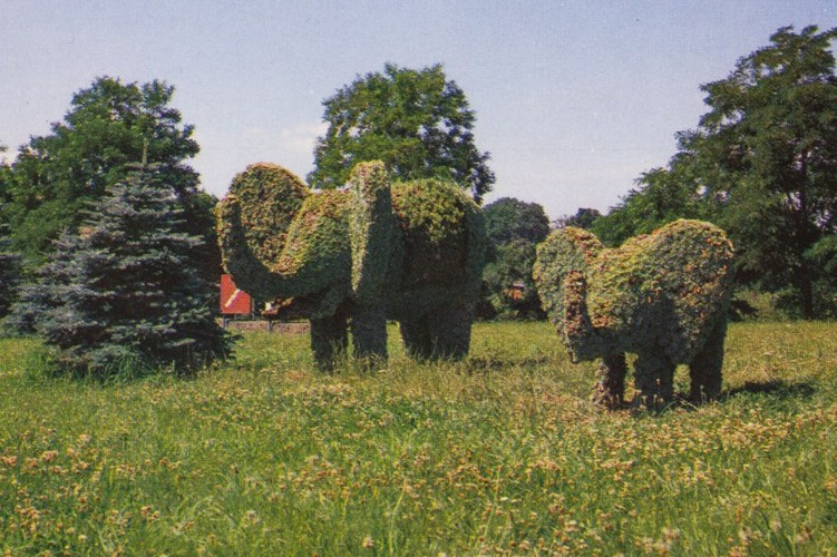 słoń