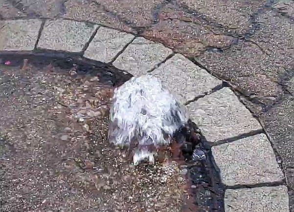вода каналізаційний люк злива