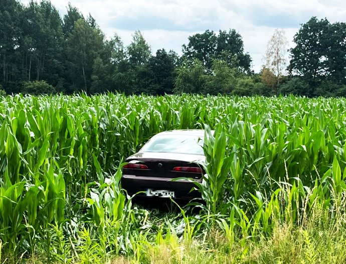 auto pole kukurydzy
