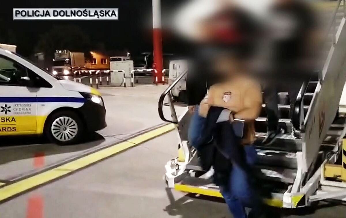 policja zatrzymanie wielka brytania