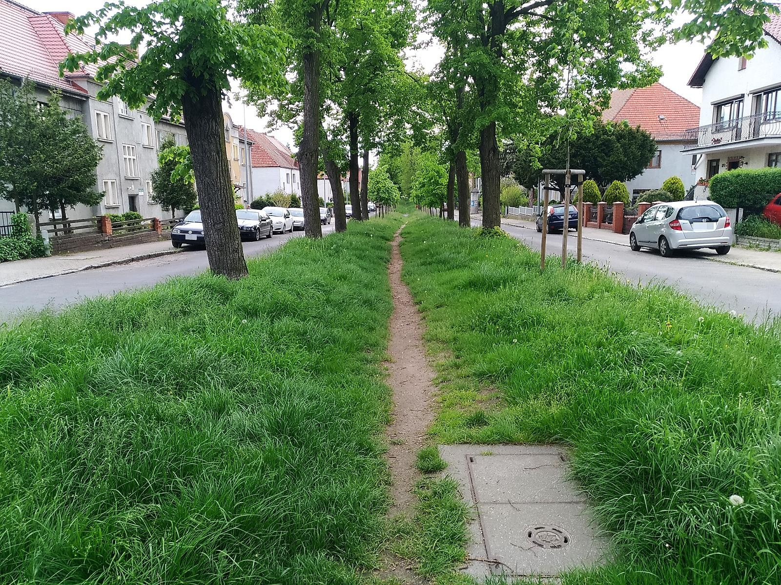 ścieżka okrzei zieleń ulica