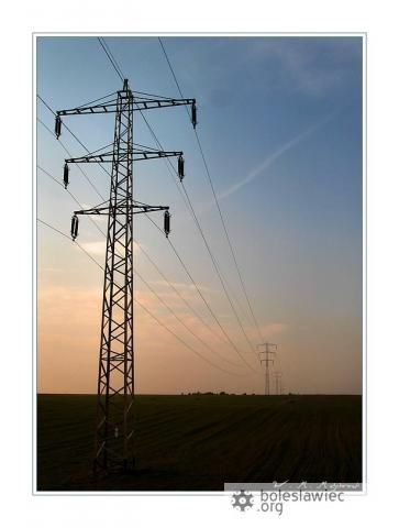 Pole wzdłuż drogi na Zgorzelec