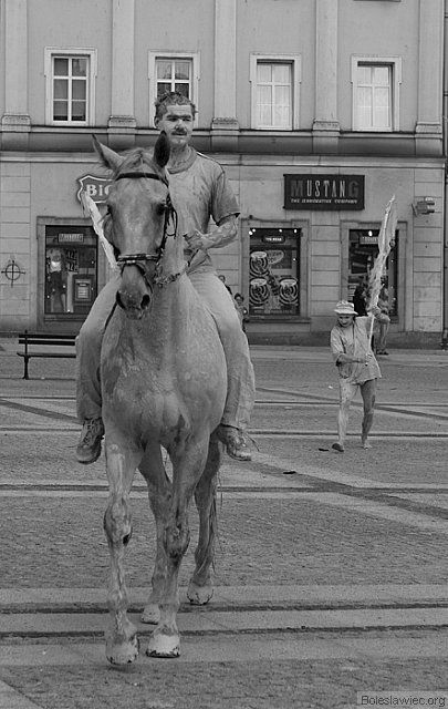 Don Kichot i giermek