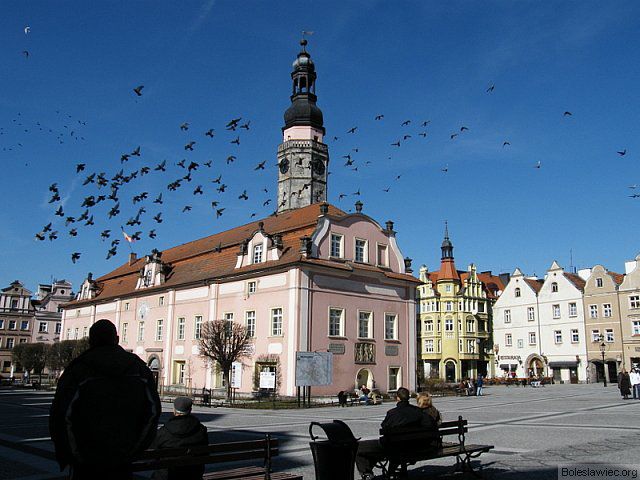 Rynek