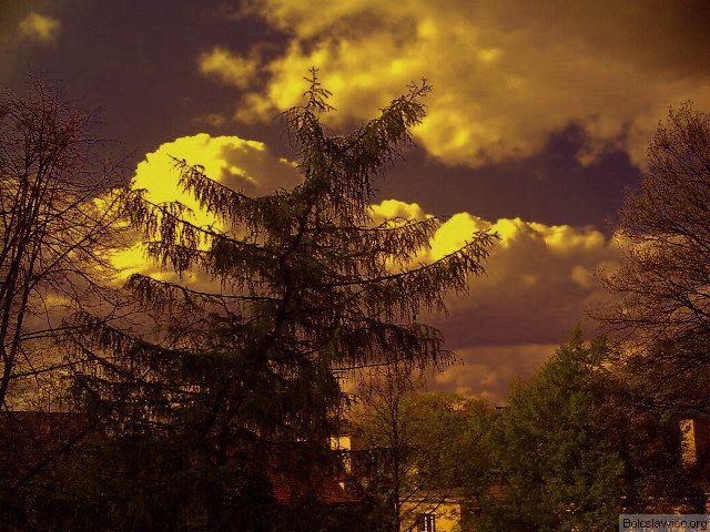 Drzewo uciekające przed chmurą