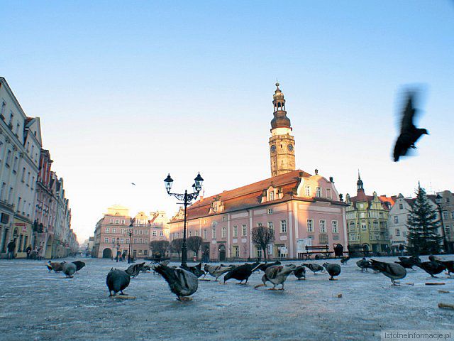 Rynek z ptakami zimą