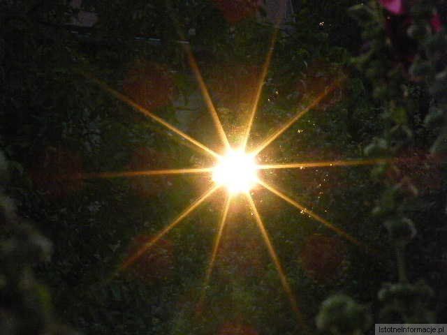 Wieczorne słoneczne promyczki