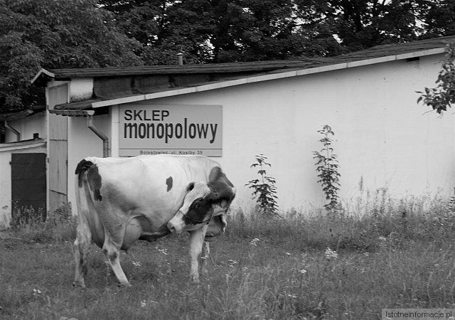 Nabiał czy monopol