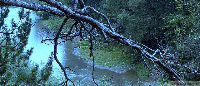 w krainie dreszczy:P