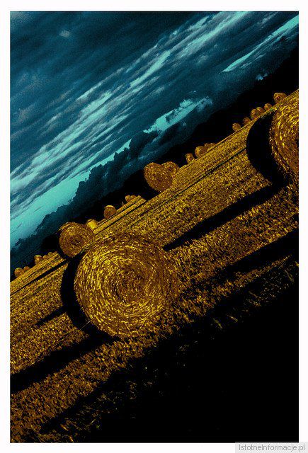 Któregoś dnia podczas podróży