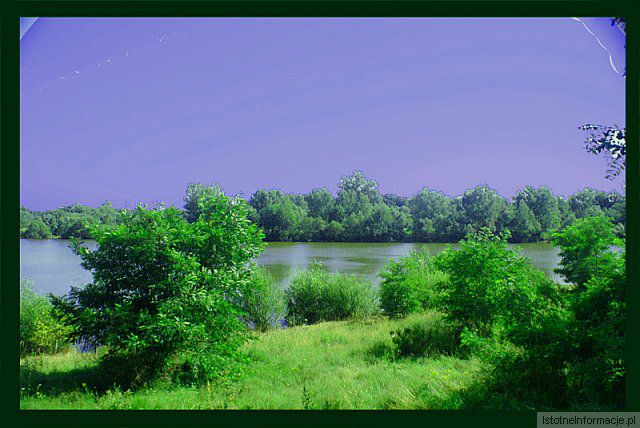 W drodze na Krepnicę