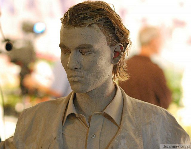 W świetle reflektorów