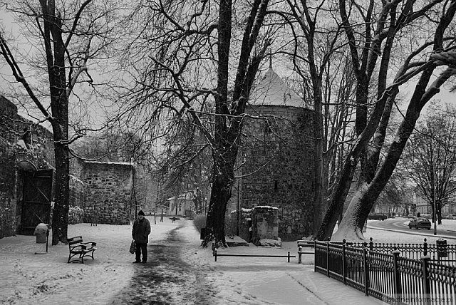 Zima w parku