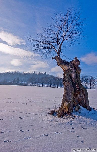 Życie po życiu...  ;-)