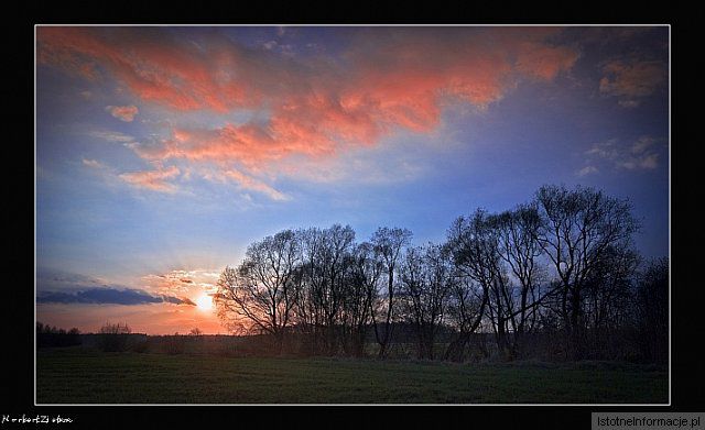 W osamotnieniu... ;-)