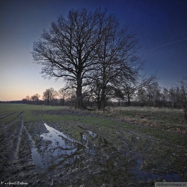 Jednak sam kadr będzie tylko półproduktem ;-)