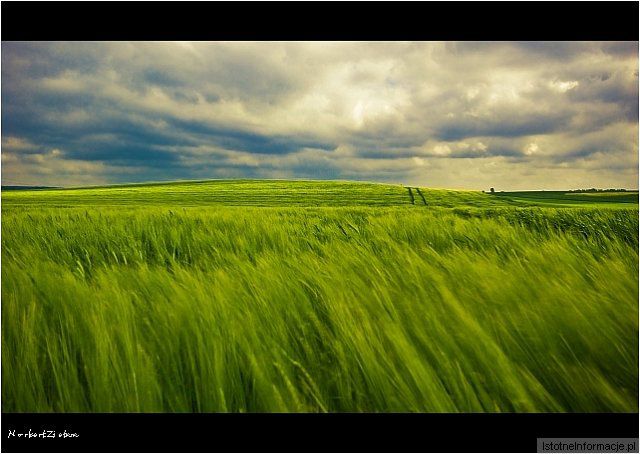 Chwila npstalgii choć aura nie rozpieszczała... ;-)