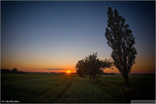 Okolice Nowogrodźca