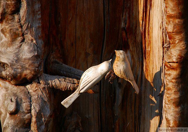 Bieszczadzkie okruchy