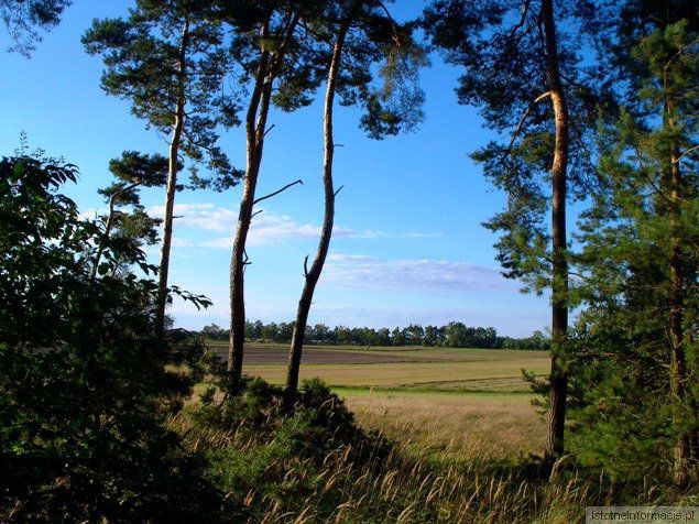 To tylko przyroda :)