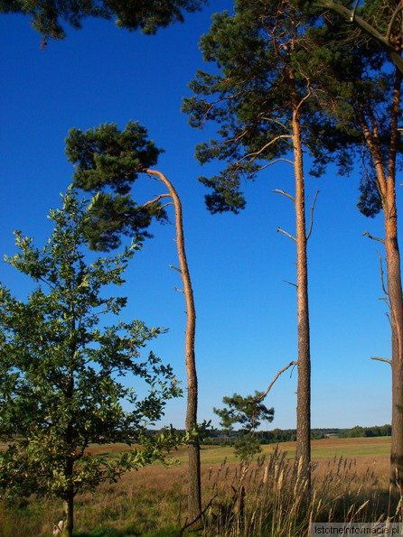 To tylko przyroda :)