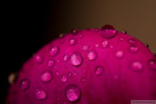 Kropelki :)
