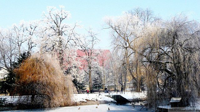 Bolesławiec ul. Kubika