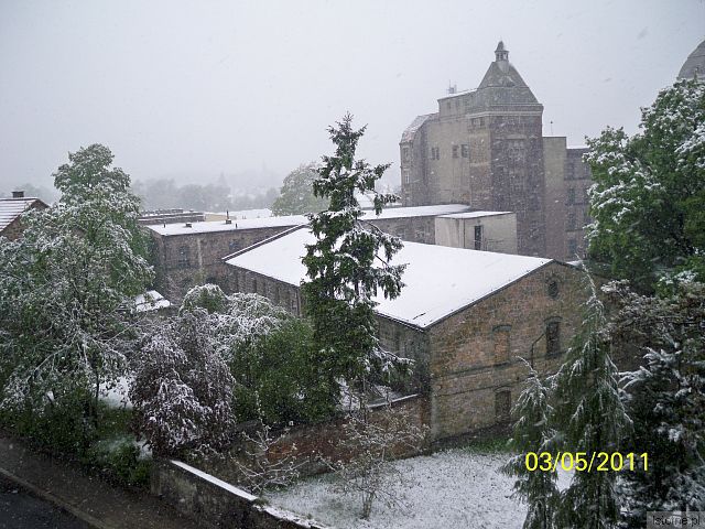 WIOSNA W BOLESŁAWCU